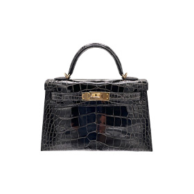 Hermes kelly mini/ Kelly 20 Alligator Graphite Lisse palladium